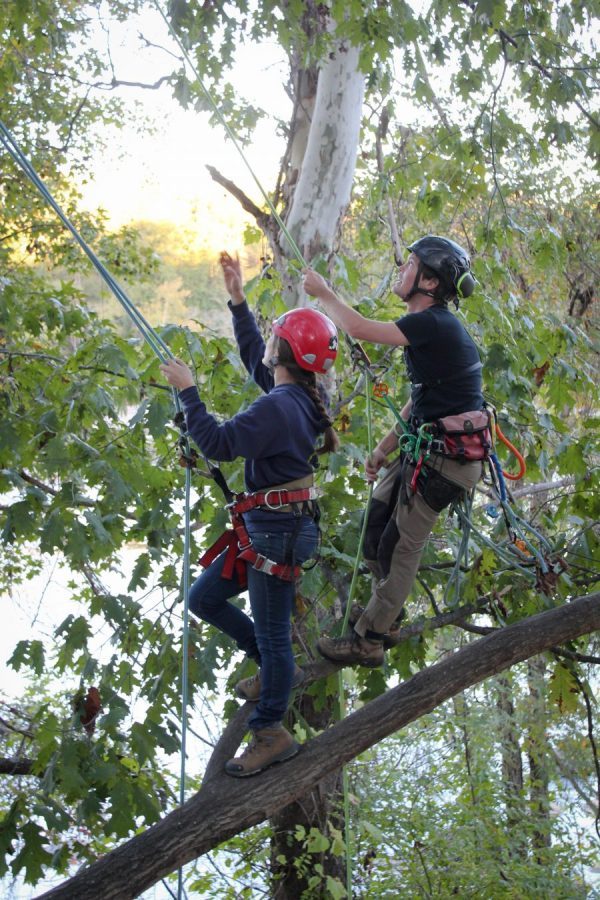 Aerial Rescue Training
