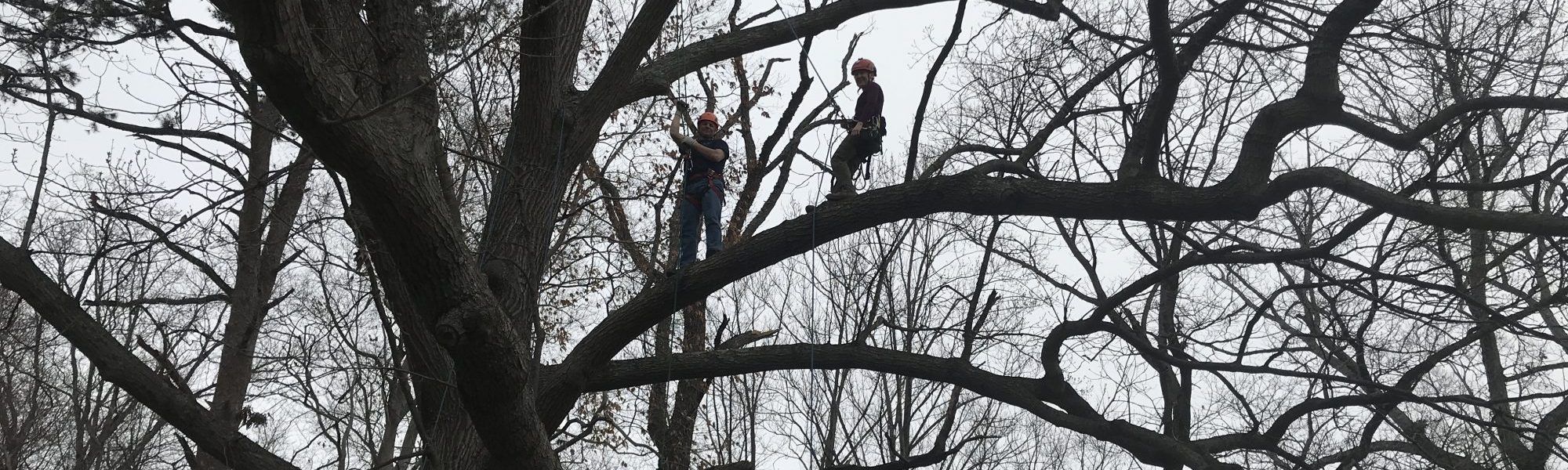 Aerial Rescue Training