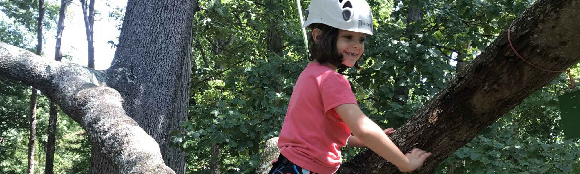 Tree climbing adventures